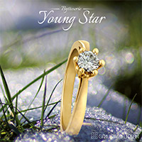 youngStar2013 brochure